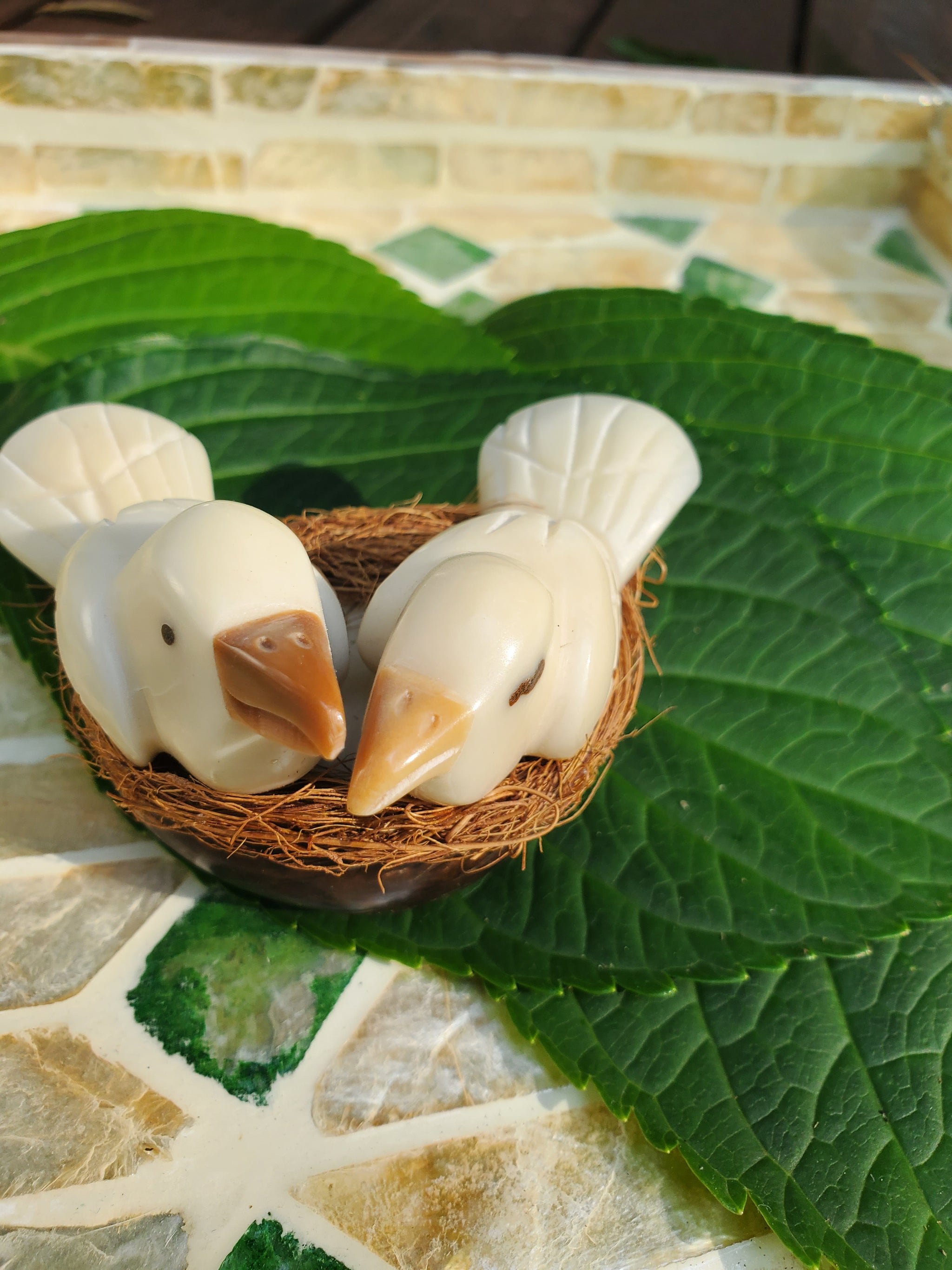 Tagua Nut Carvings – Welljourn