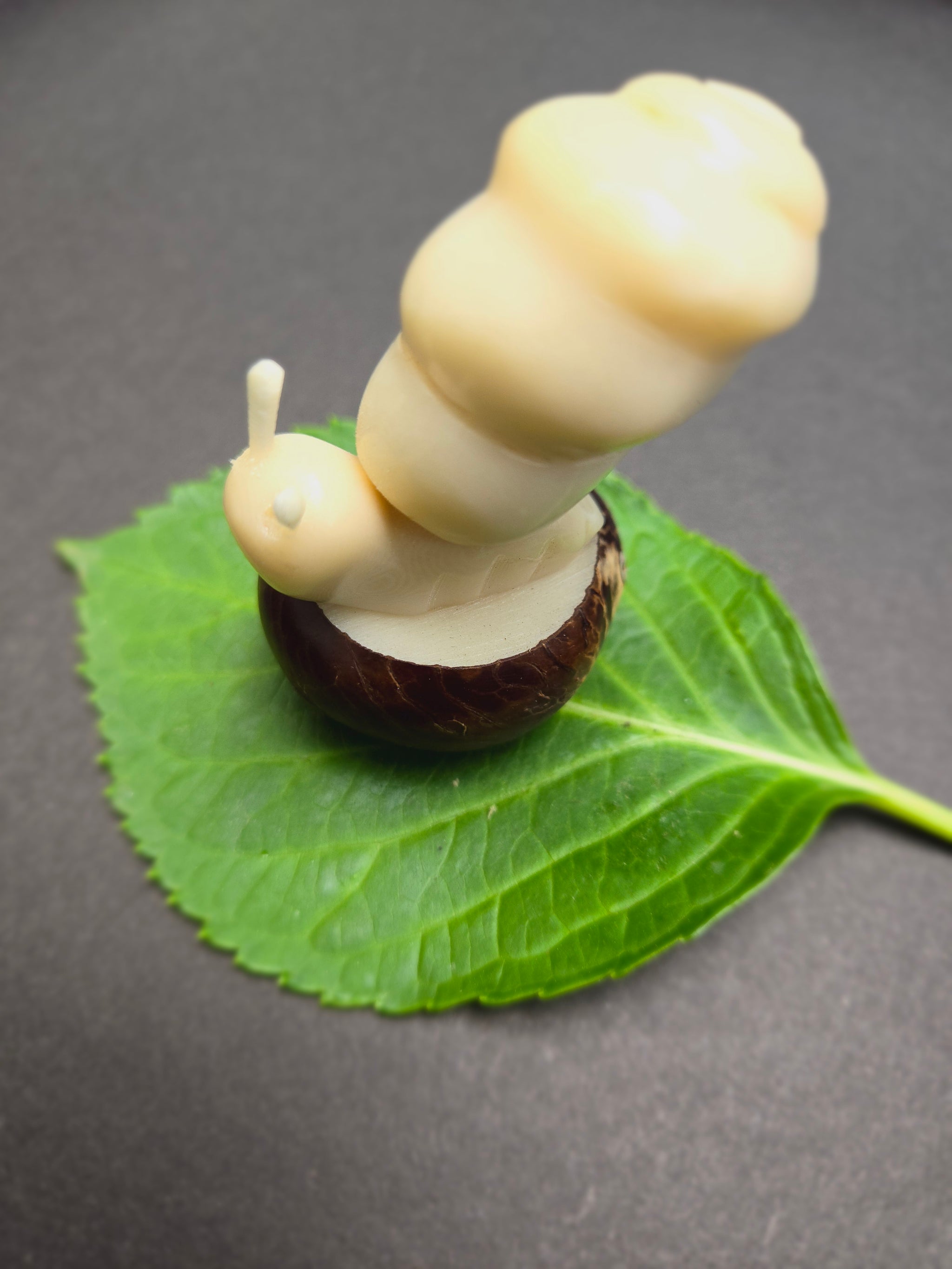 Snail Tagua Nut Carving – Welljourn