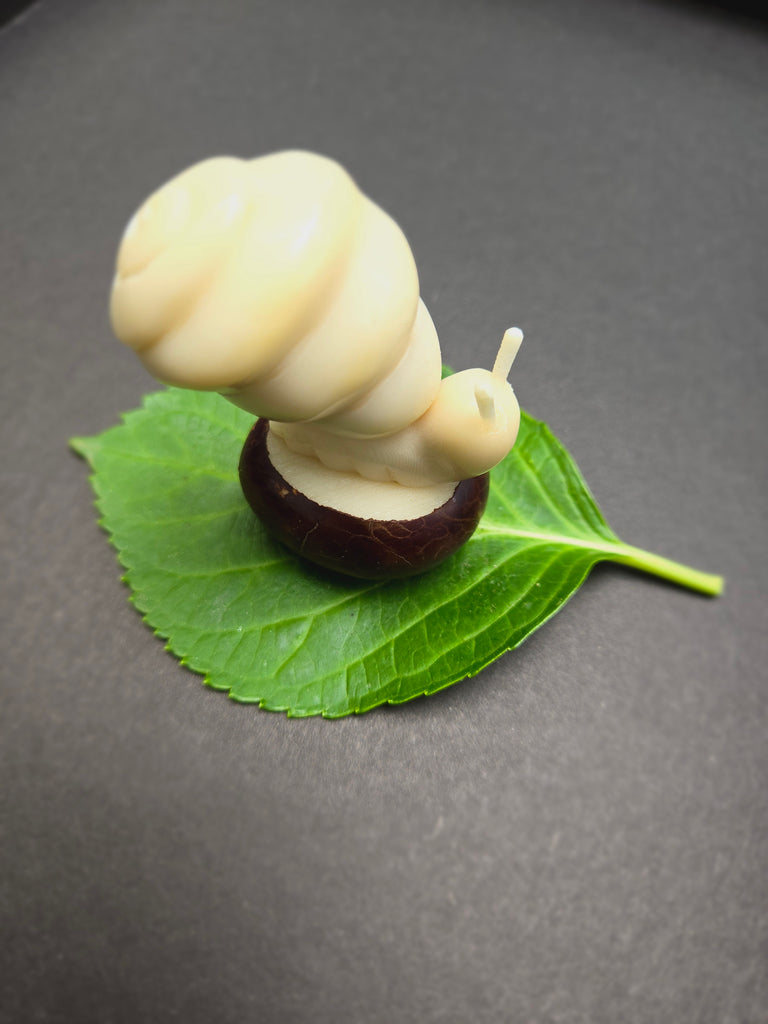 Snail Tagua Nut Carving - Welljourn