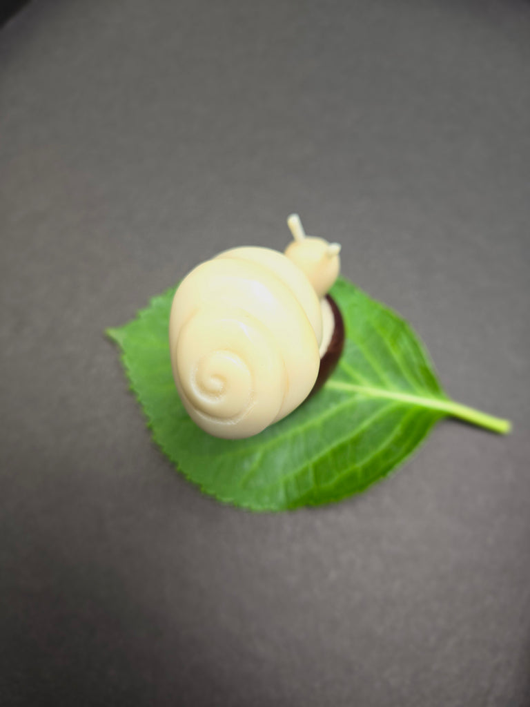 Snail Tagua Nut Carving - Welljourn