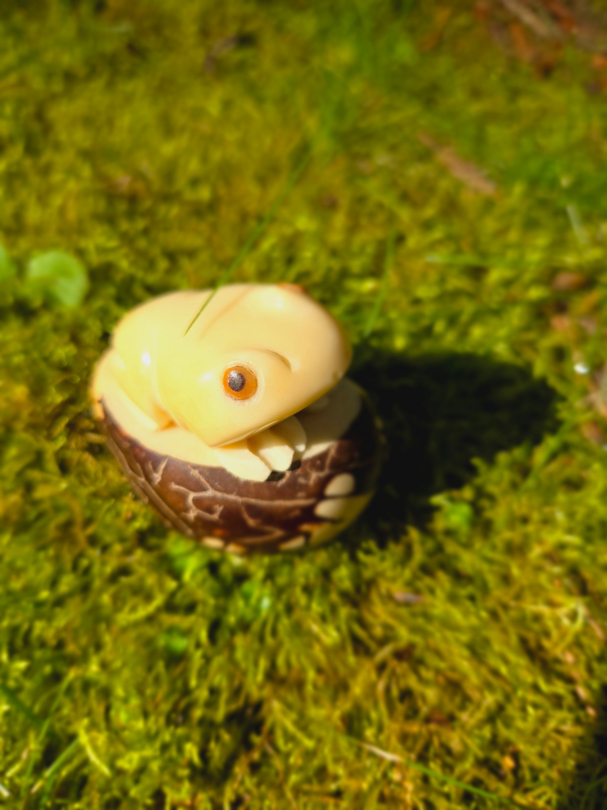 Sitting Frog | Tagua Nut Figurine – Welljourn