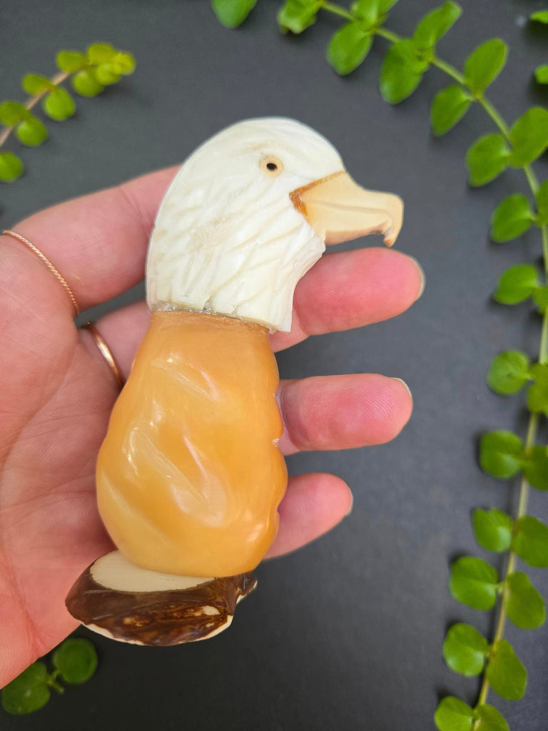 Eagle Tagua Carving - Welljourn