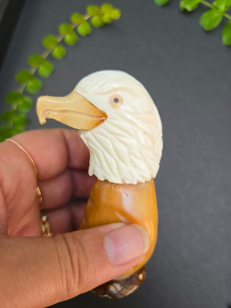 Eagle Tagua Carving - Welljourn