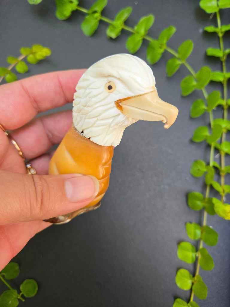 Eagle Tagua Carving - Welljourn