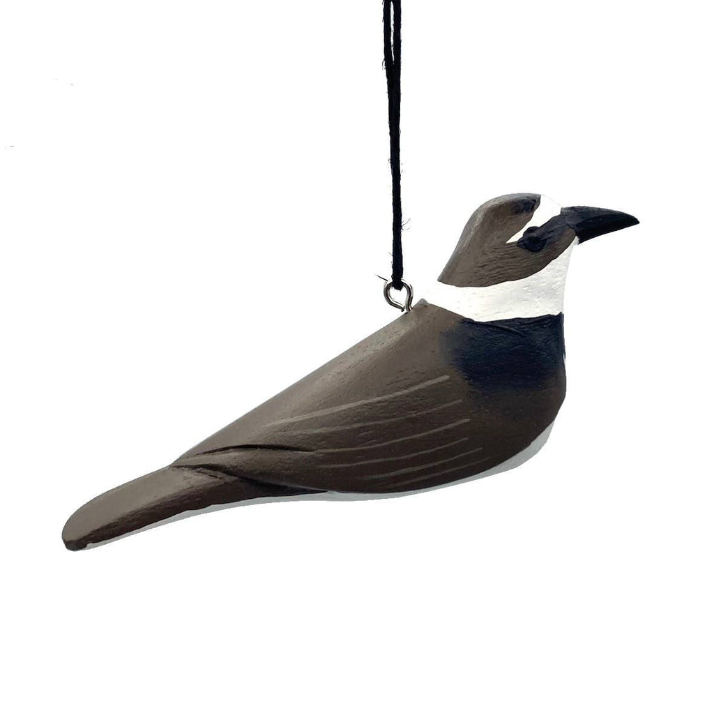 Wilson's Plover Balsa Ornament - Welljourn