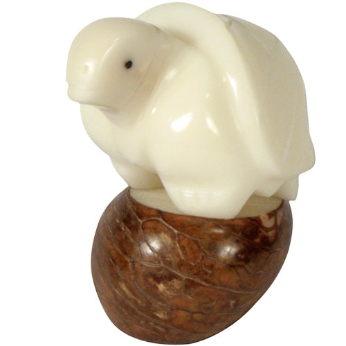 Mini White Turtle | Tagua Figurine - Welljourn