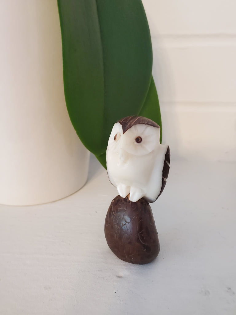 Brown Owl Tagua Figurine - Welljourn