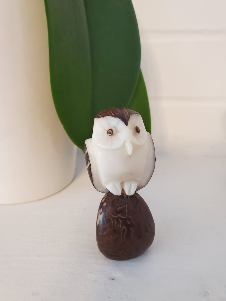 Brown Owl Tagua Figurine - Welljourn