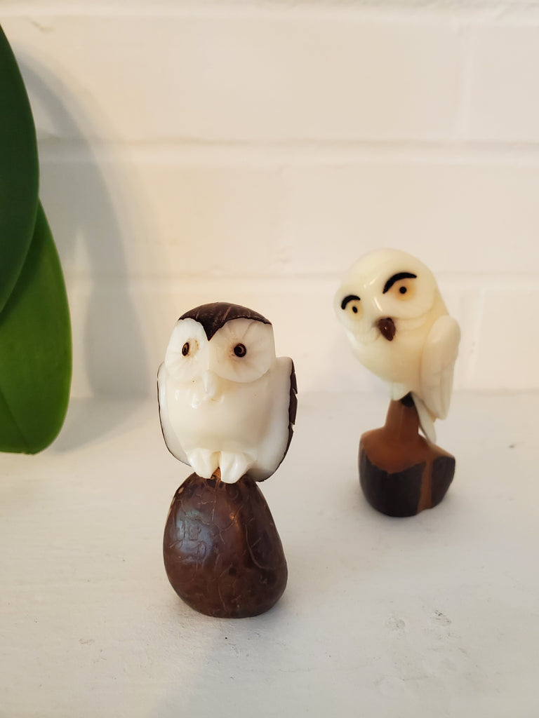 Snowy Owl Tagua Nut Figurine from Ecuador - Welljourn