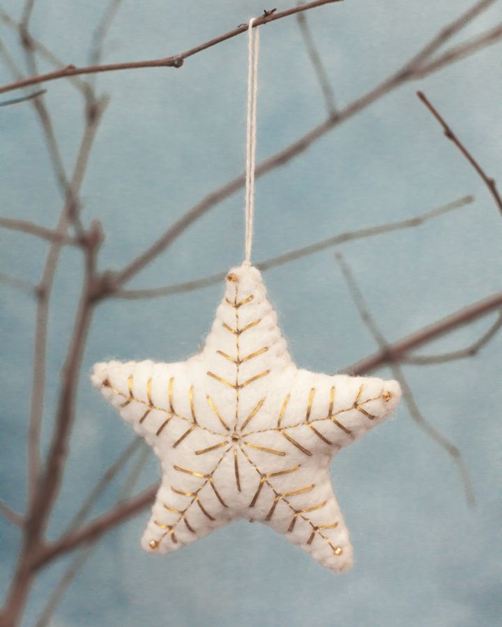 Star Felt Ornament - Welljourn