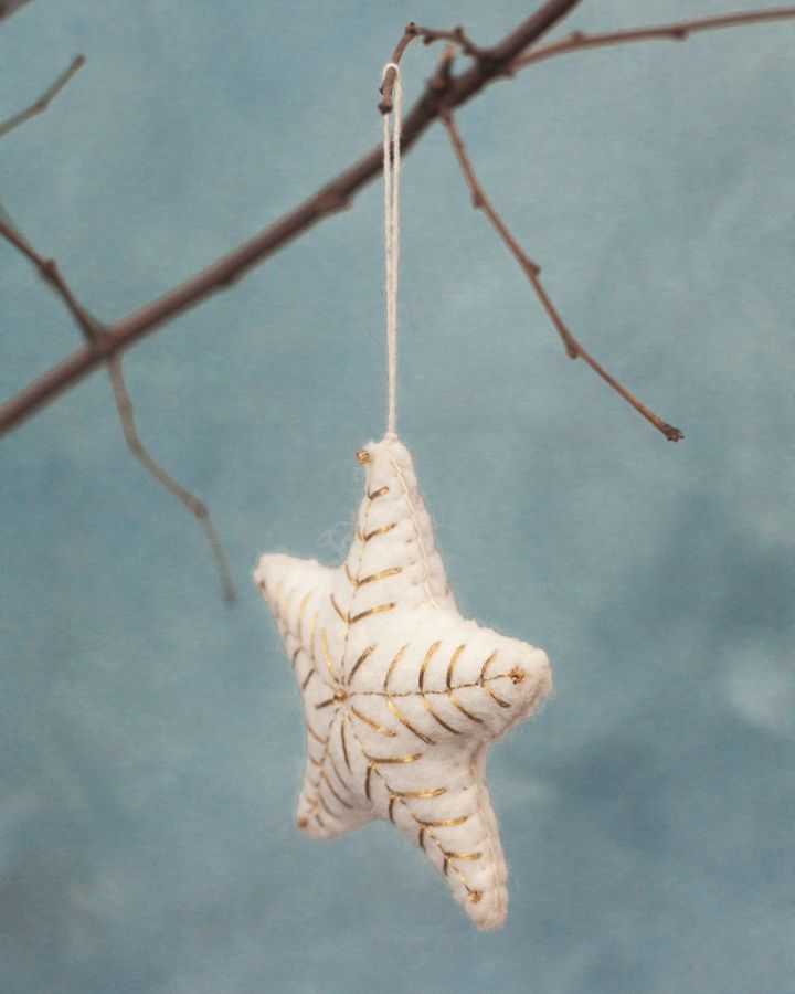 Star Felt Ornament - Welljourn